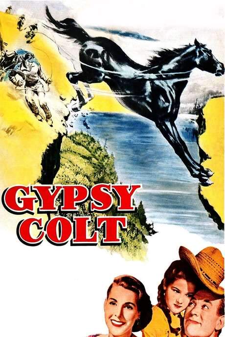 Gypsy Colt